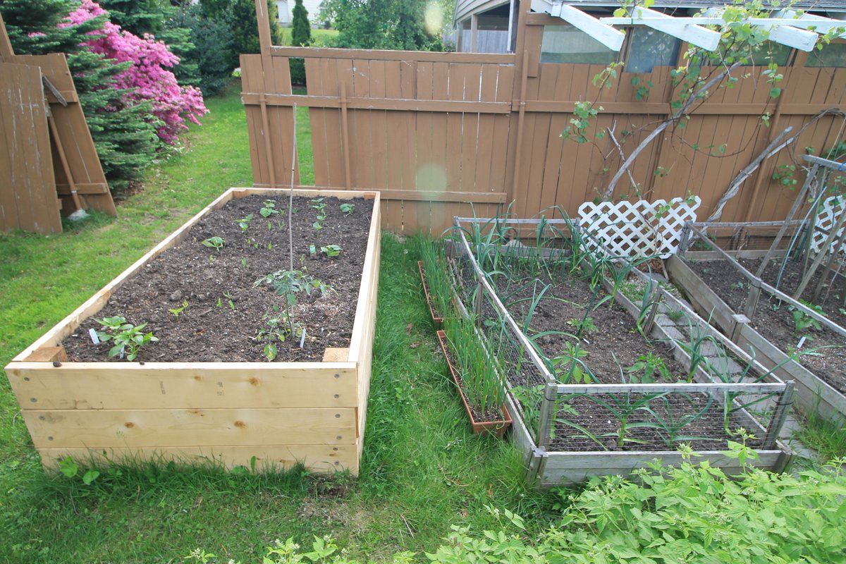 BirderDaniel's tweet photo. The Garden From the middle of May to this week. https://t.co/KGhPka67LK