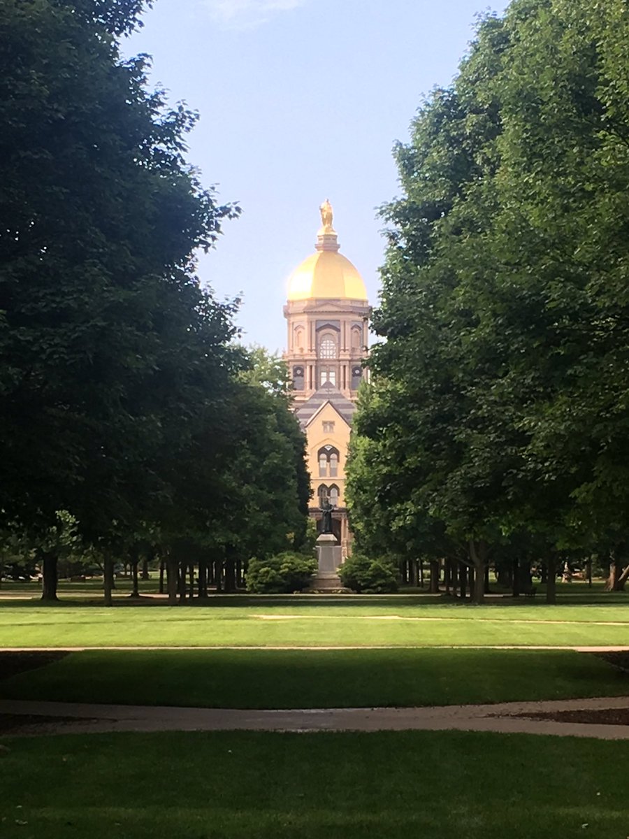 #dailypause: Our Lady shining in the evening sun.