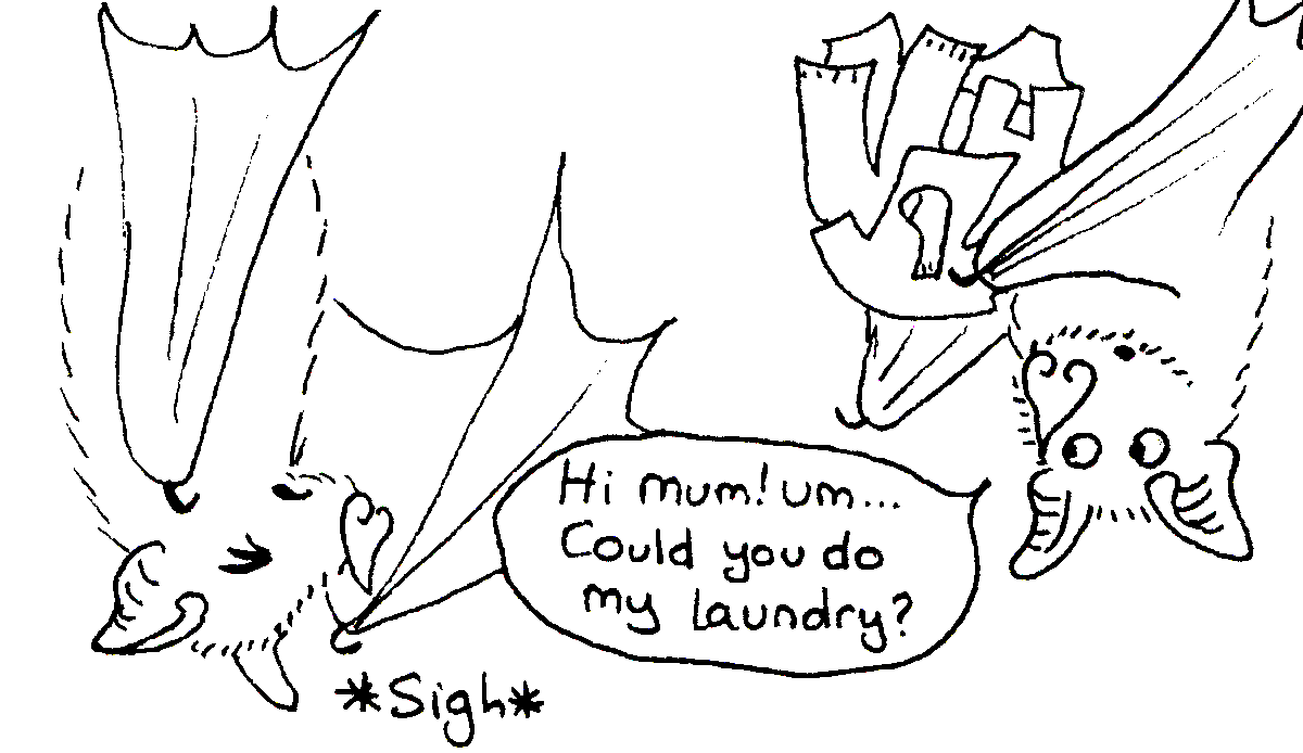 Adventures in Bat Science tweet media