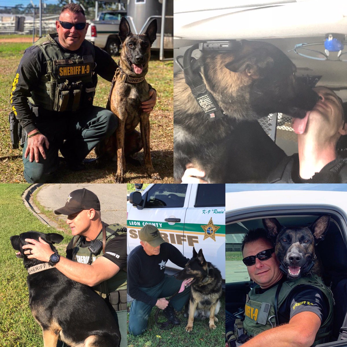 Love4PoliceDogs's tweet image. We are changing #giveawayfridays to #weeklygiveaways since we often do multiple a week. Our goal to help protect K9s hasn’t changed. TOGETHER we all can make a difference. k9sofvalor.org 
#K9ArmyStrong #bluepawsmatter We do it all for them! #StrongerTogether #BackTheBark