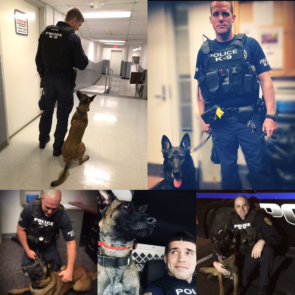 Love4PoliceDogs's tweet image. We are changing #giveawayfridays to #weeklygiveaways since we often do multiple a week. Our goal to help protect K9s hasn’t changed. TOGETHER we all can make a difference. k9sofvalor.org 
#K9ArmyStrong #bluepawsmatter We do it all for them! #StrongerTogether #BackTheBark