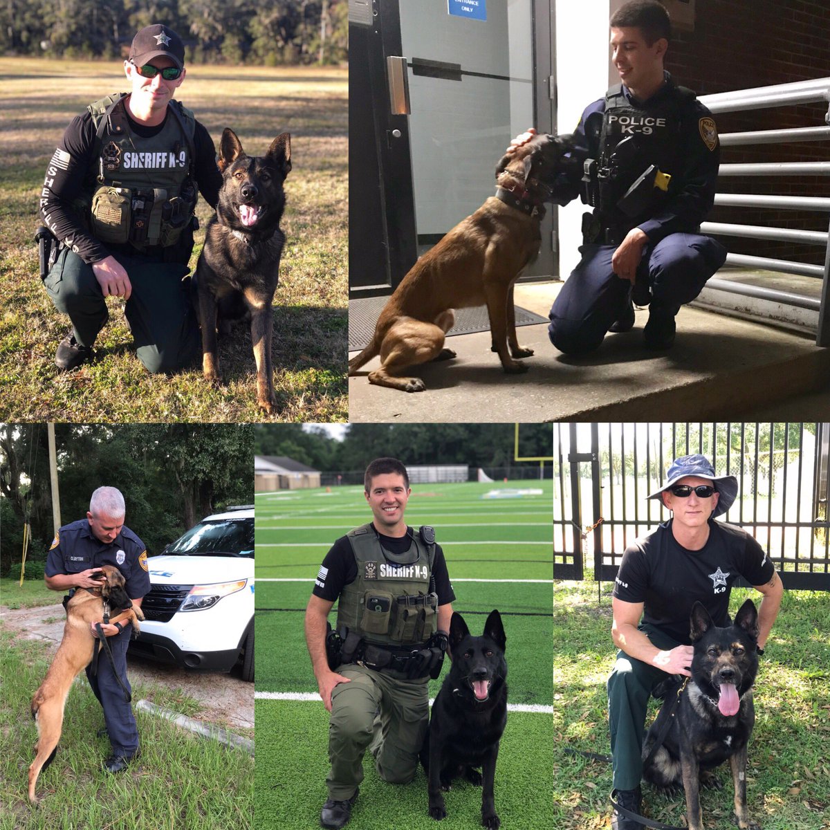 Love4PoliceDogs's tweet image. We are changing #giveawayfridays to #weeklygiveaways since we often do multiple a week. Our goal to help protect K9s hasn’t changed. TOGETHER we all can make a difference. k9sofvalor.org 
#K9ArmyStrong #bluepawsmatter We do it all for them! #StrongerTogether #BackTheBark