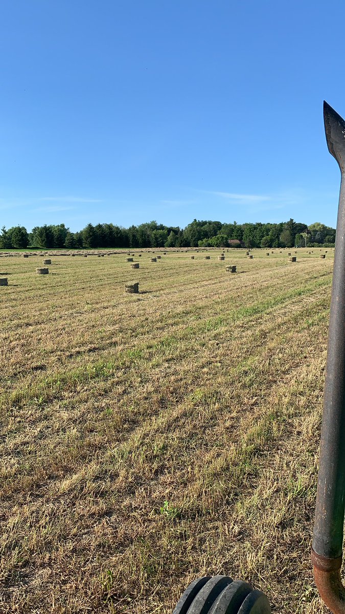 wrightway93's tweet photo. Making hay #ontag #hay19 #horsecubes https://t.co/x55YEUahDZ