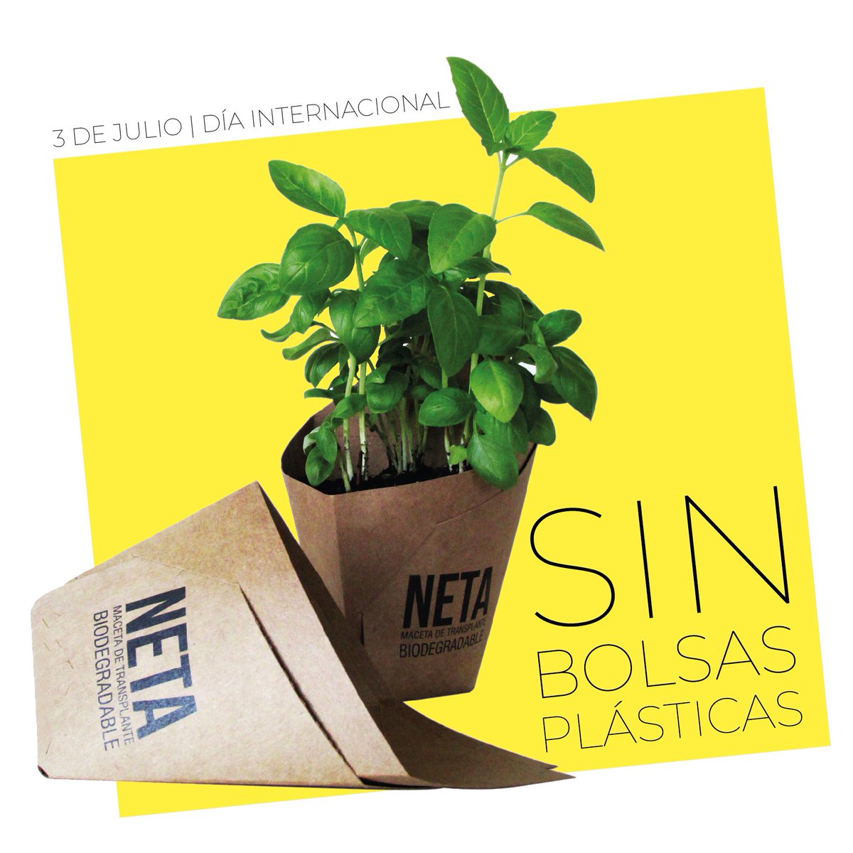 EstudioSimple's tweet image. 3 | Julio Día Internacional sin bolsas plásticas.
El 39.9% del plástico usado en el mundo es para packaging.
Las #SimpleEstudio decimos NO a la bolsa plástica.
#NETA maceta de trasplante biodegradable, reemplazo a la bolsita plástica donde vienen los plantines.