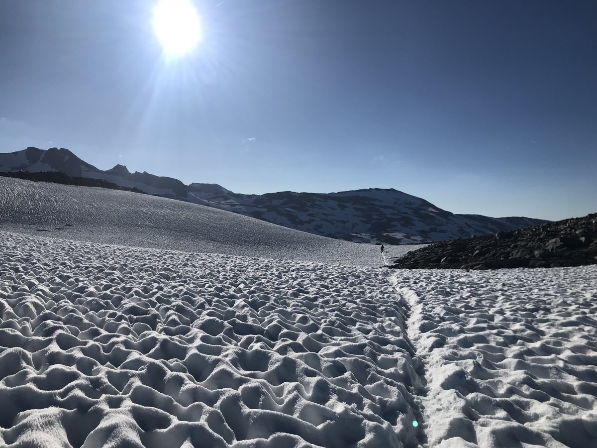 Yosemite National Park tweet media