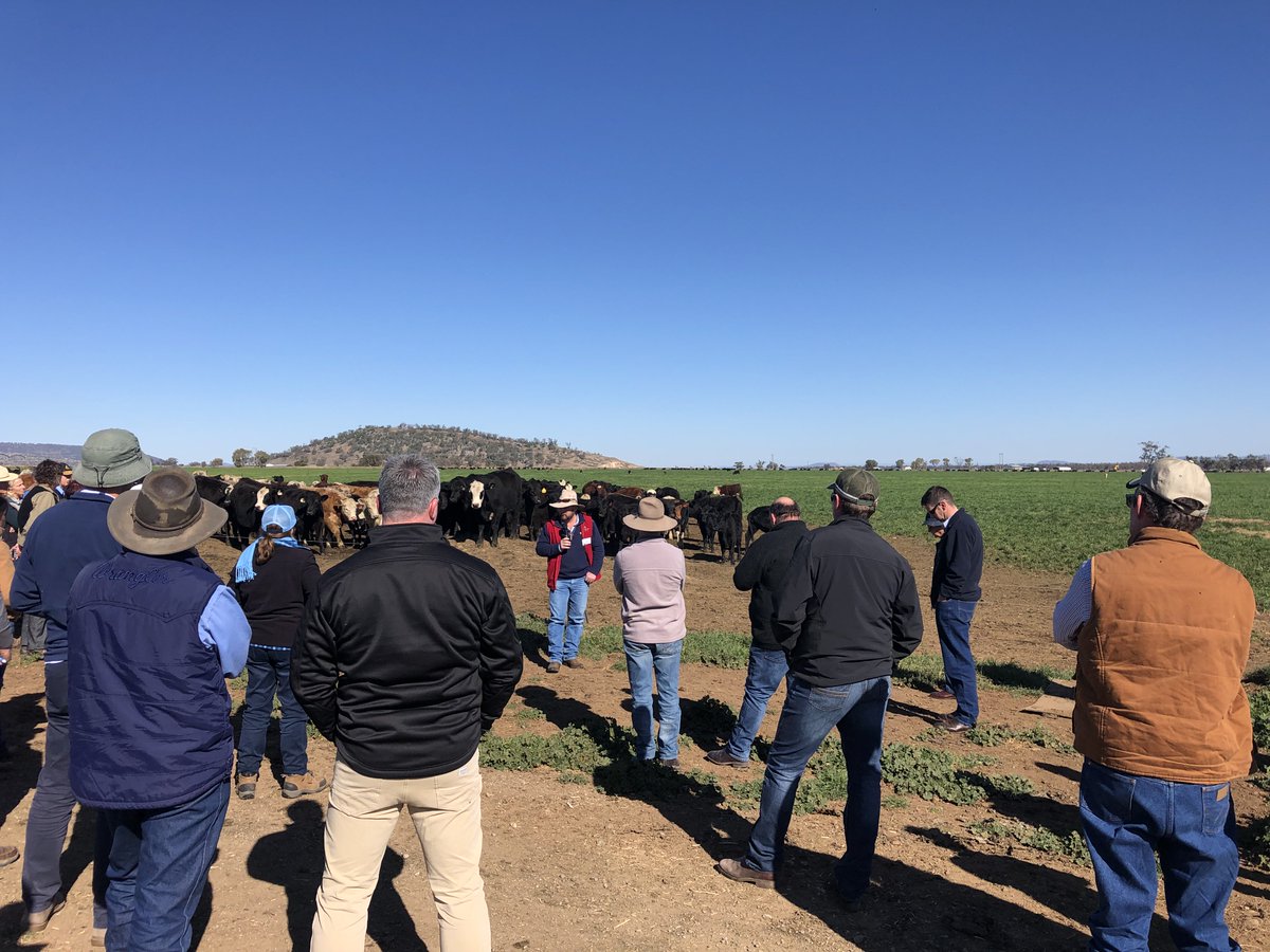 The <a href="/NSWGrassland/">Grassland Society of NSW</a> Conference kicked off yesteday in Gunnedah and concludes this afternoon.
@heritageseeds Territory Manager &amp; Northern agronomist <a href="/JerseyRidge/">Tony Stewart</a> discusses the benefis of grazing and forage systems so you can #growwithconfidence