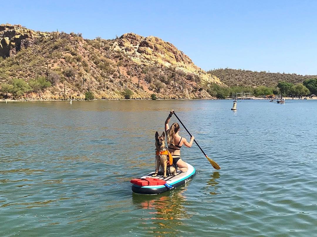 VisitMesa's tweet photo. There is always room for new experiences in #CityLimitless 🌊 🐶 
.
.
📷: @melissapozniak 
.
.
#VisitMesa #CityLimitless #LakeDay #az365 #instagramaz #MesaMemories #Paddleboarding #roamtheplanet #arizonalife #keepitwild #travelaz #exploreaz #optoutside #azadventure https://t.co/tlM2huxvHd