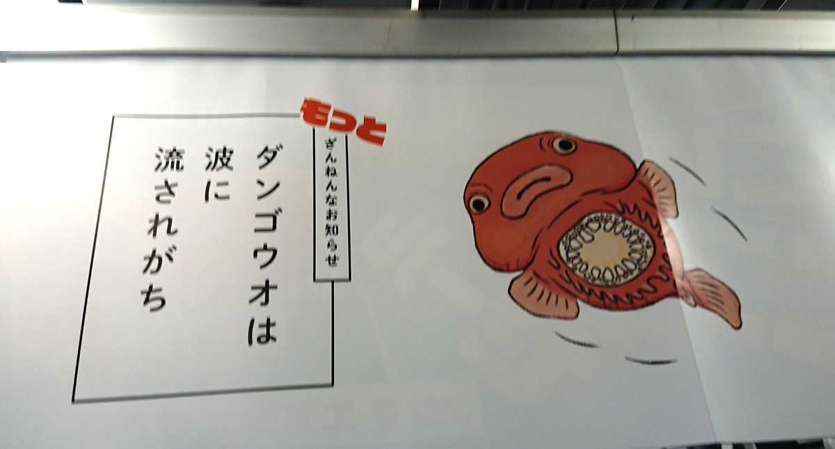 今朝の、ざんねんなお知らせ。だけどきっとマンボウの比ではないね! 