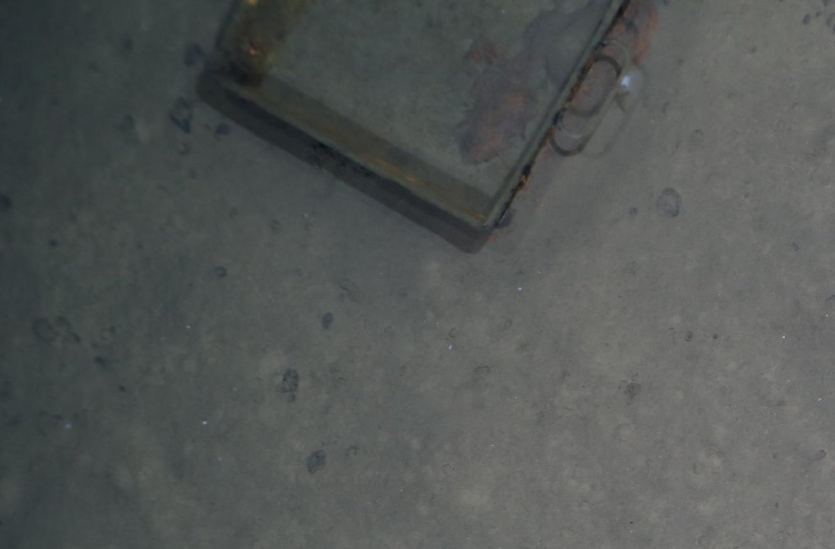 MelanieBergma18's tweet photo. #SO268: Unfortunatley, we saw not only happy-#depsea life but also the usual suspect: marine #debris. Still, given the high amounts floating at the sea surface, we saw surprisingly little on the seafloor (5200-5900m), contrary to our observations in the #Arctic! #Pacific #plastic https://t.co/OHUg52DmeT