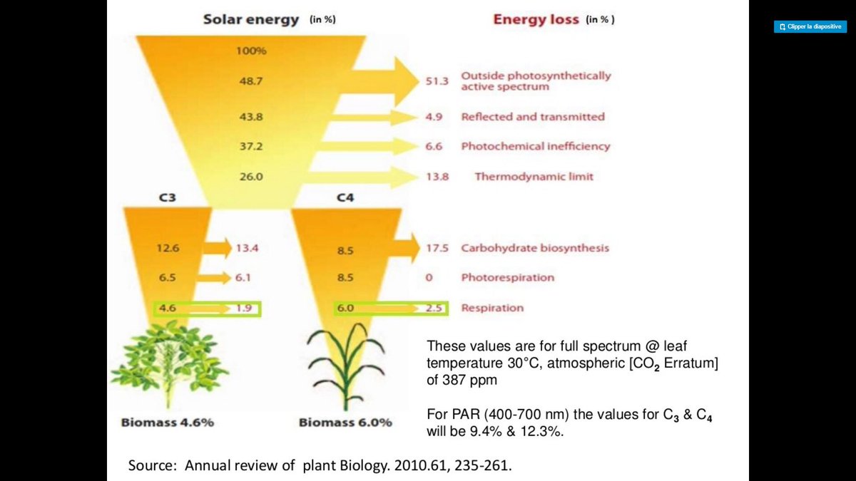 Légumineuses, efficience photosynthèse: Fev.Print, Pois Print (photos 2019), avec une bonne gestion de la fertilité des sols, de la RU du sol, par un choix judicieux de variétés et de densités optimisées il est possible de booster agro-écologiquement les rdts