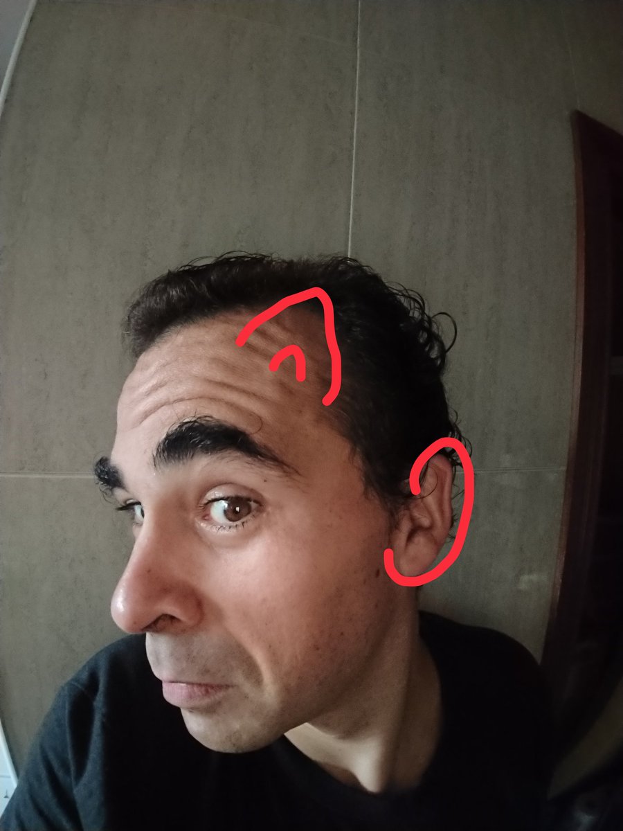 vinkoid's tweet image. My daughters say that I have 4 ears now, 2 human ears to hear, and 2 cat ears to think. I sadly tend to agree. #middleageproblems