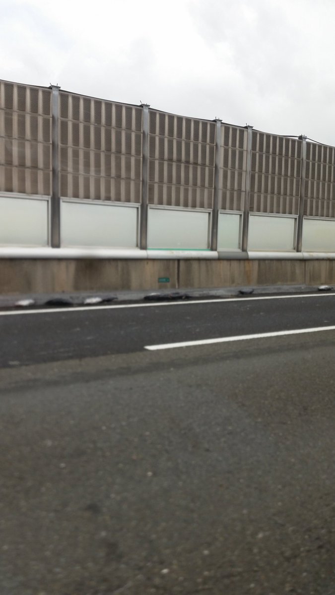 なんｊさん Mm残党 阪和道にお魚落ちてた