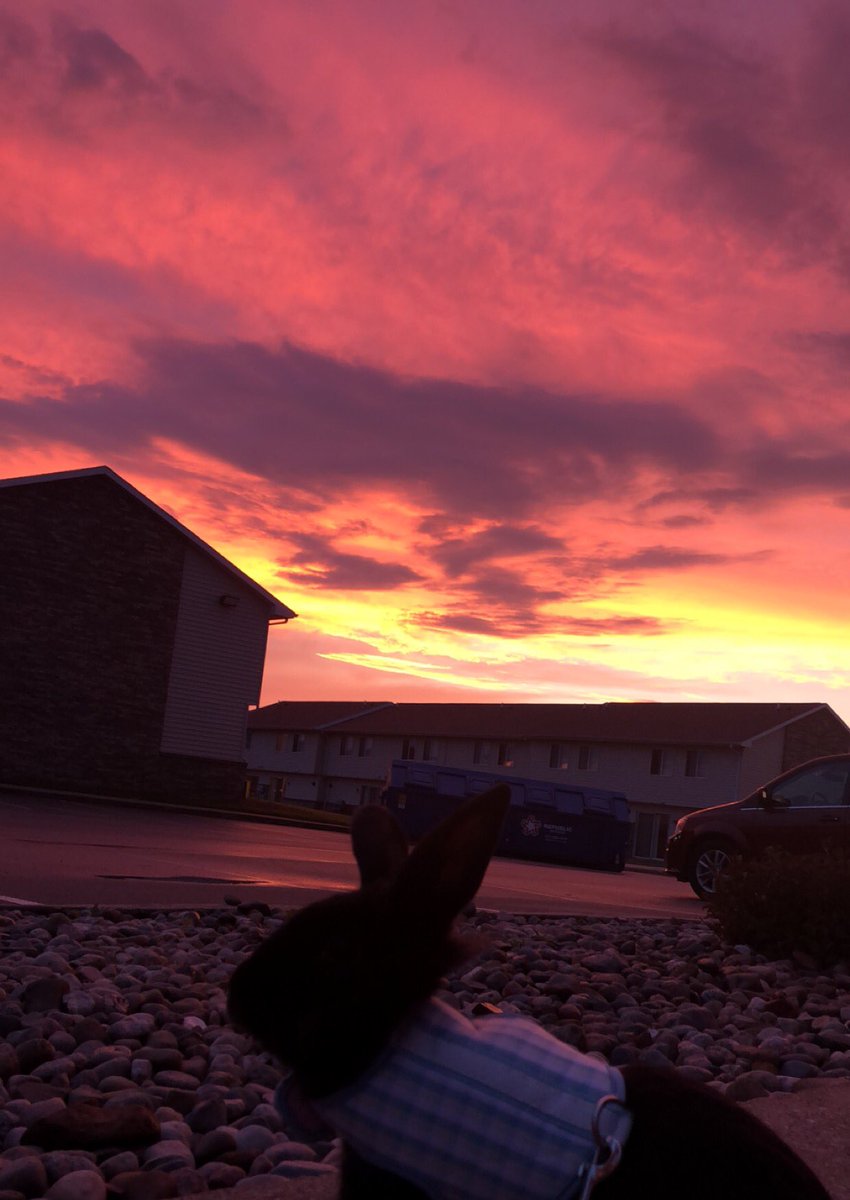 gvsusunsets's tweet photo. Beautiful sunset last night sent in by @kylienowocin ! https://t.co/nkN2ovvYgc