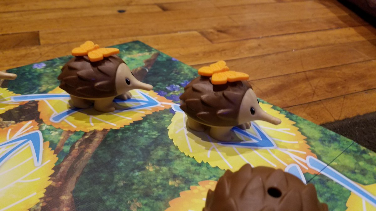 HopivoreAndy's tweet photo. My orange butterfly echidnas are on the move! #echidnashuffle https://t.co/T3JAiBaSpA