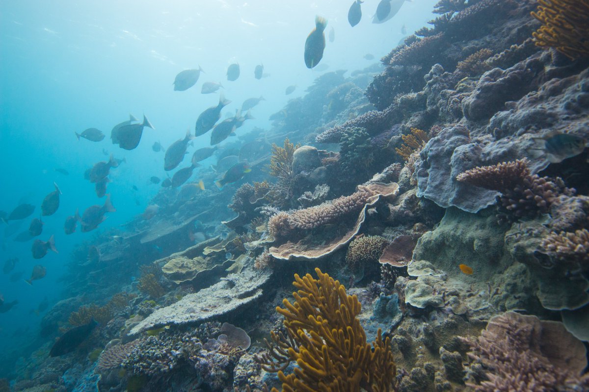 Matthew Nitschke tweet media