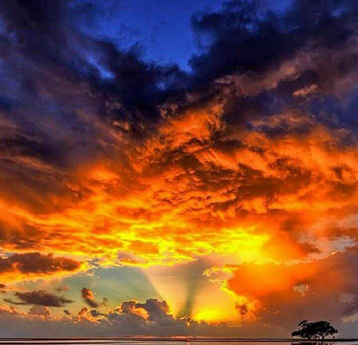 Ultilidex2's tweet photo. 🍊save our world🍊 https://t.co/477aatfkQ9