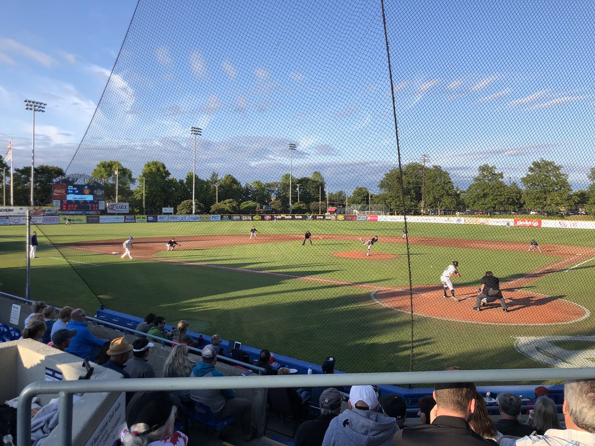 Cole Webster tweet media