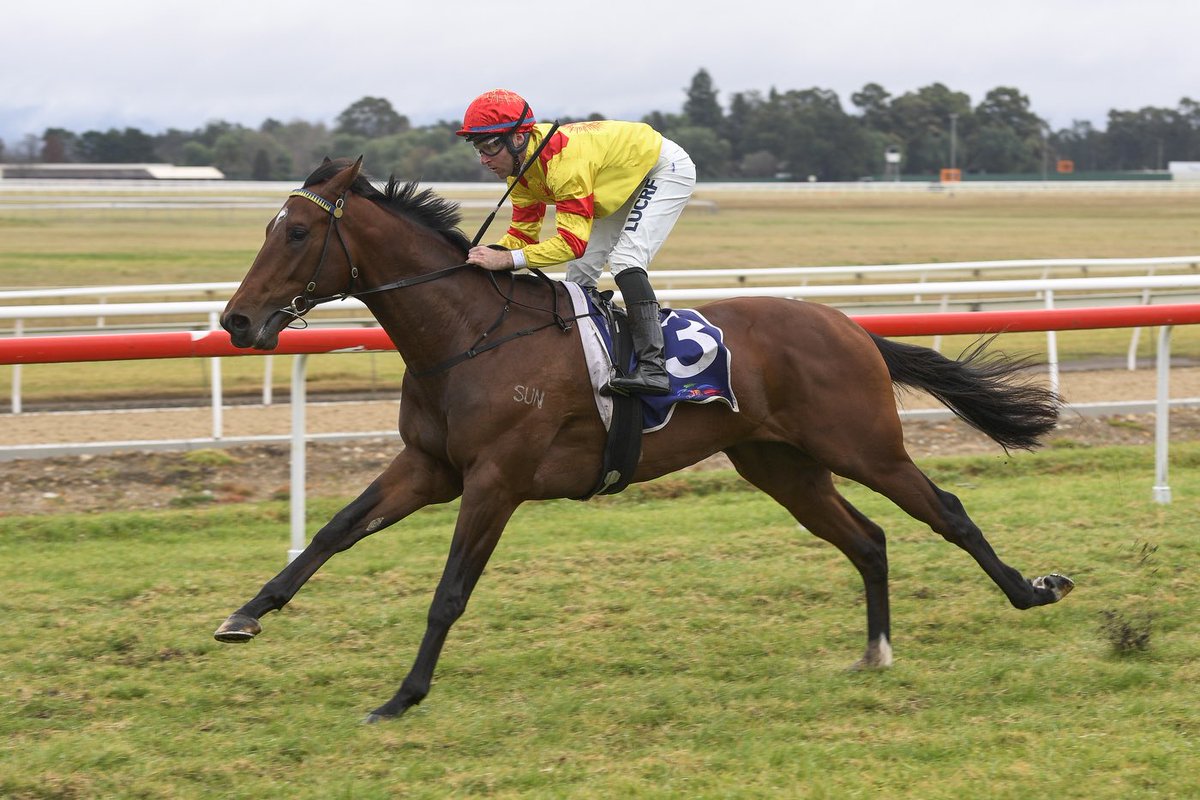 hawkesburyrc's tweet image. #Judicator wins the first race on the card the Members Race Day Metro &amp;amp; Provincial Mdn Hcp @hawkesburyrc for @GRyanRacing and @TommyBerry21