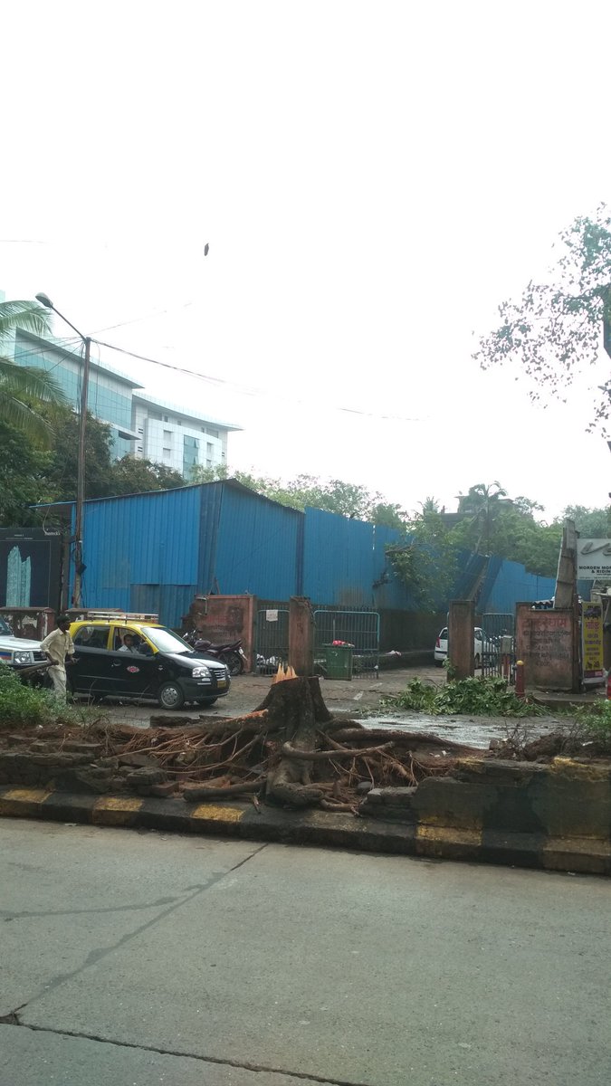 HumzaShaikh95's tweet image. Appreciate the timely response, preventing any untoward incident. #TreeGone @MumbaiPolice @prabhatfire