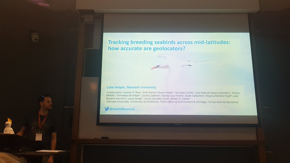 CavalloDelMare's tweet image. A disruptive study by @SeabirdResearch from @MonashUni calls into question #geolocator use for breeding seabirds. Mean error is more like 318 km than previous predictions! No good for central place foragers. Great work Luke!  #AOC2019