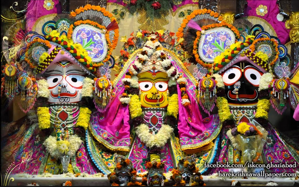 IndiaPlus's tweet photo. Happy #RathYatra
#indiaplus https://t.co/tlvY81bEvC