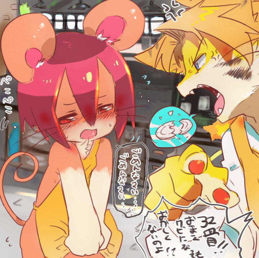先輩猫『何度割ったら気が済むんだ！？この馬鹿ねずみ！！何？オレのことが嫌いだからそうやってわざとにドジばかりするわけ！？🤨』
鼠『ご、ごめんなさい、どうしてもボク呑み込みが悪くて･･（先輩に叱られたいから割ってるだなんて絶対に言えないや)』
先『次割ったら食べるからな！😩
ねず『💓！