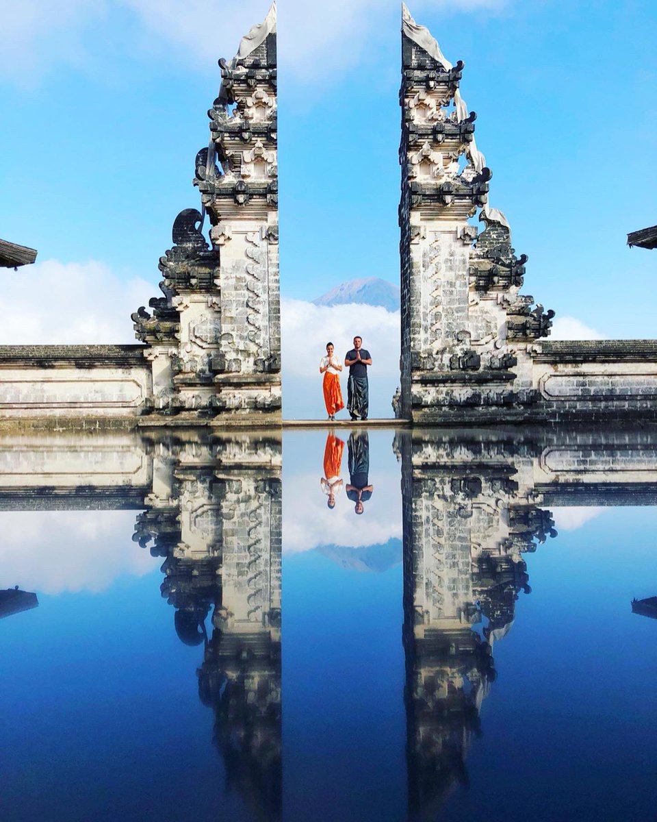 Polina M. Pompliano tweet media