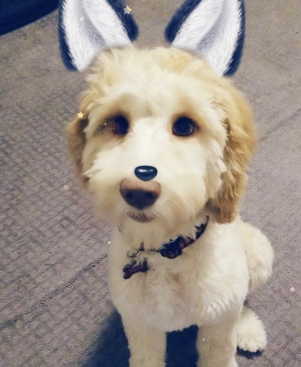 When I was a wee lad 😘