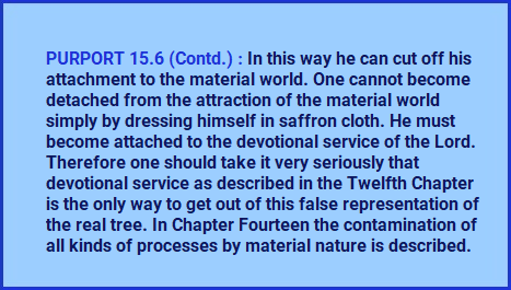 Bhagavad_Geeta's tweet photo. One cannot become detached from the attraction of the material world simply by dressing himself in saffron cloth. He must become attached to the devotional service of the Lord. https://t.co/gUUP5qyZcZ