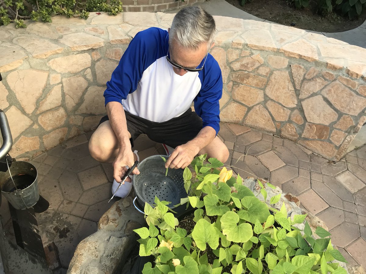 John_F_Crawford's tweet photo. Time to get ready for winter #bushbean #bushbeans #gardening #offthegrid LOL fire pit garden. https://t.co/kO7vE0jjJM