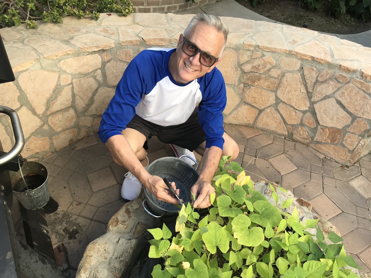 John_F_Crawford's tweet photo. Time to get ready for winter #bushbean #bushbeans #gardening #offthegrid LOL fire pit garden. https://t.co/kO7vE0jjJM