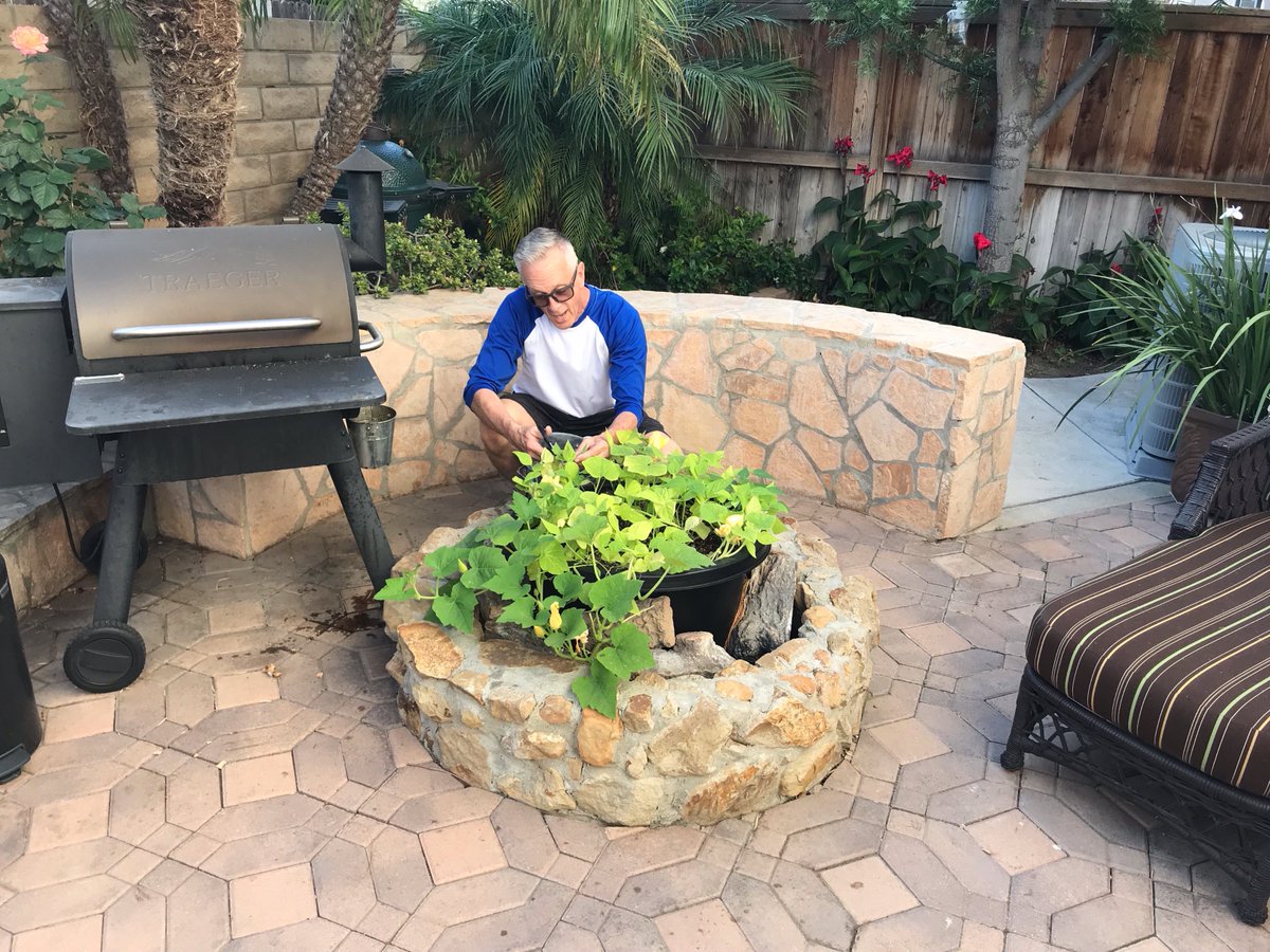 John_F_Crawford's tweet photo. Time to get ready for winter #bushbean #bushbeans #gardening #offthegrid LOL fire pit garden. https://t.co/kO7vE0jjJM