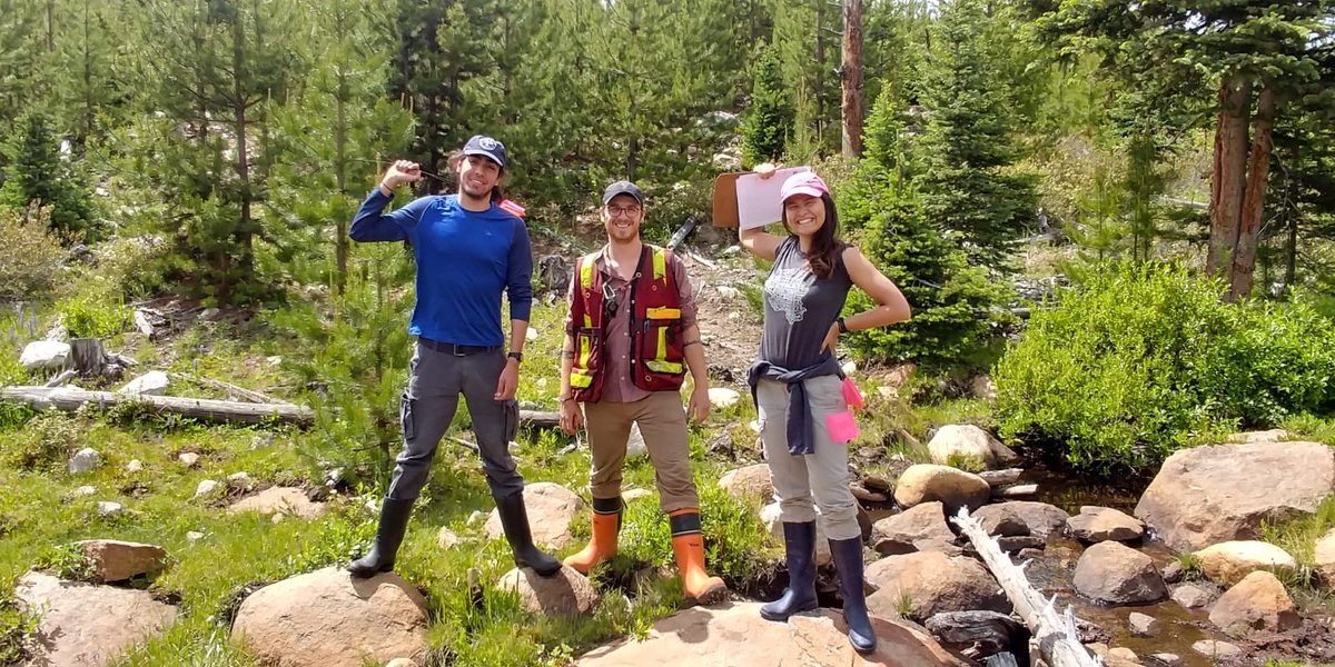 Silverthorn_T's tweet photo. What an awesome field crew! Had a blast sampling interior BC streams + riparian veg for #SOSTPRO last week! @unpapagayo @ArloHugh https://t.co/rMeJNvdSND