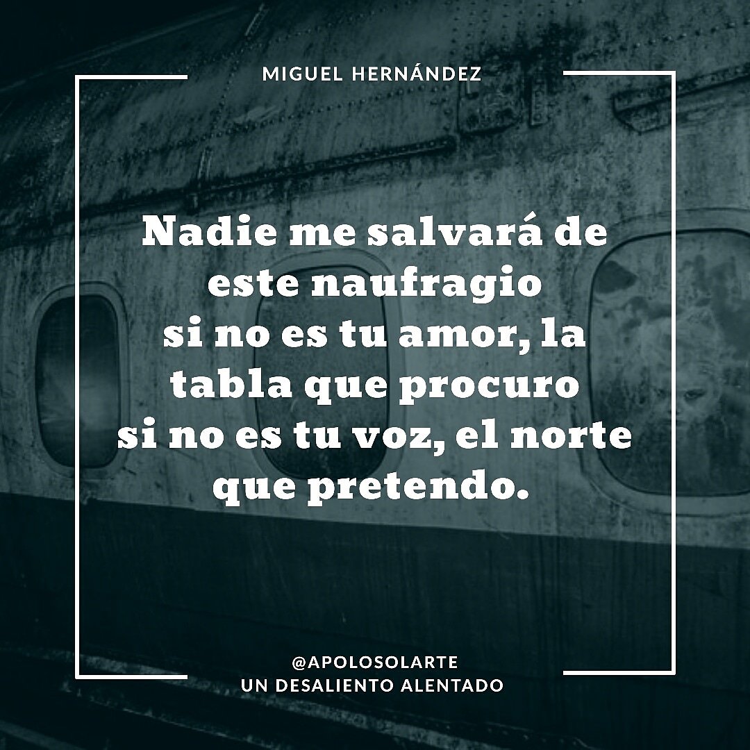 Nadie me salvará de este naufragio
si no es tu amor, la tabla que procuro
si no es tu voz, el norte que pretendo. Miguel Hernández

Dale like, sígueme
 y comparte si este contenido es de tu agrado, así me estarías apoyando. <a href="/apolosolarte/">Apolo Solarte</a>
#apolosolarte #amor #desamor #dolor #novia