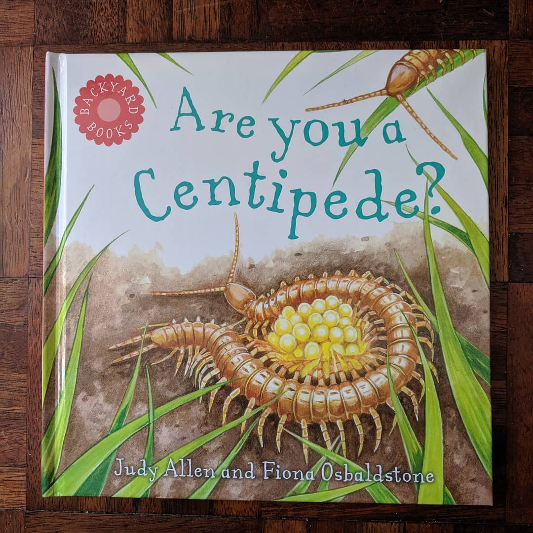 foartist's tweet photo. The books I illustrated for Judy Allen and @macmillanusa are now published! With @advocateart01 #backyardbooks #childrensbookillustration #illustration #nature #areyouabeetle #areyouacentipede #artistontwitter #watercolour #fionaosbaldstoneillustrator https://t.co/yc53c1qMEr