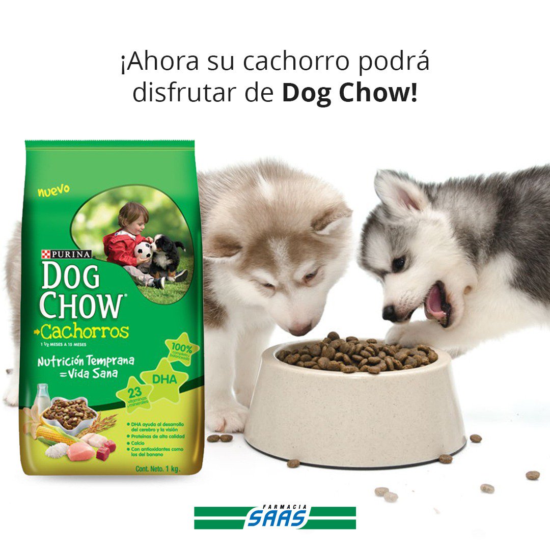 Comience su día buscando en nuestra farmacia Dog Chow Cachorro Raza Mediana Grande, formulado con nutrientes e ingredientes que más necesita para crecer sano y fuerte. Ofrece un alto aporte de energía para su desarrollo.

Búsquela en nuestra farmacia, hoy abierta hasta las 9pm.