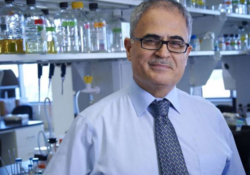 концепции современной евгеники. гипотеза один ген один фермент. американская генетика. американская генетика. евгеническое движение в сша.