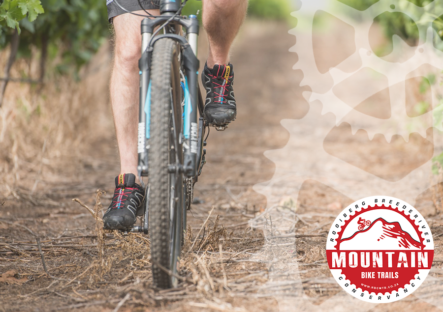 RooibergWines's tweet photo. We have 85km of MTB trails right in our backyard that tracks through the Rooiberg Breederiver Conservancy to various local stops.
Daily Permits: R50 per bike | Yearly: R300
Contact us 023 626 1663
#mtbtrail #mtbweekend #mtb https://t.co/kV0nhwHYsq
