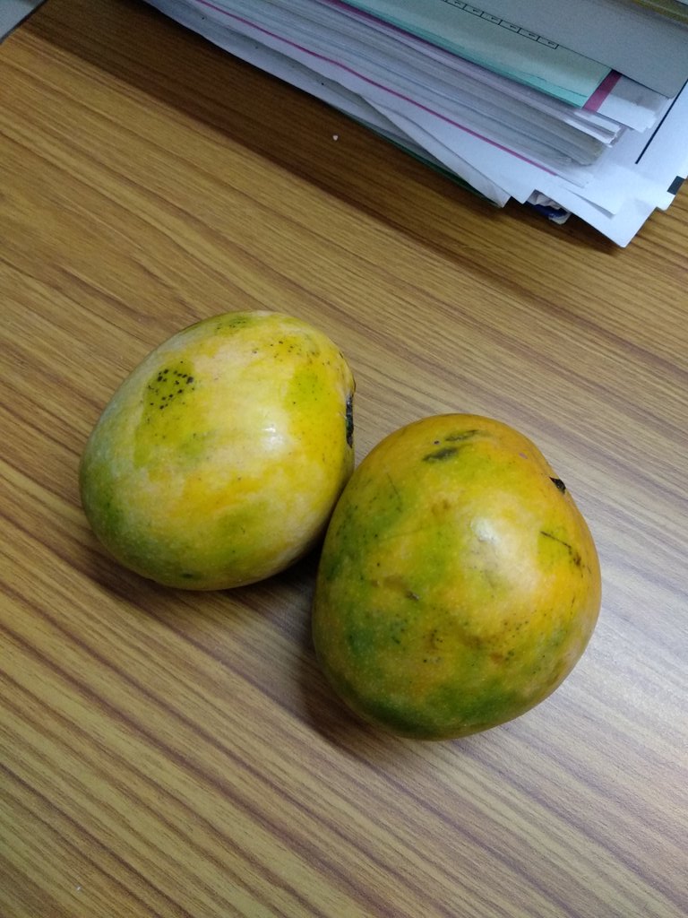 Raksha_Bhat's tweet photo. Perks of being a Doctor
Got this from a patient today🥭😁
At a time when Doctors are being given bruises and beatings, haematomas and fractures!
#perksofbeingadoctor
#smalljoysofbeingadoctor #savethedoctors #stopviolenceagsinstthedoctors https://t.co/4TmElj4iAg