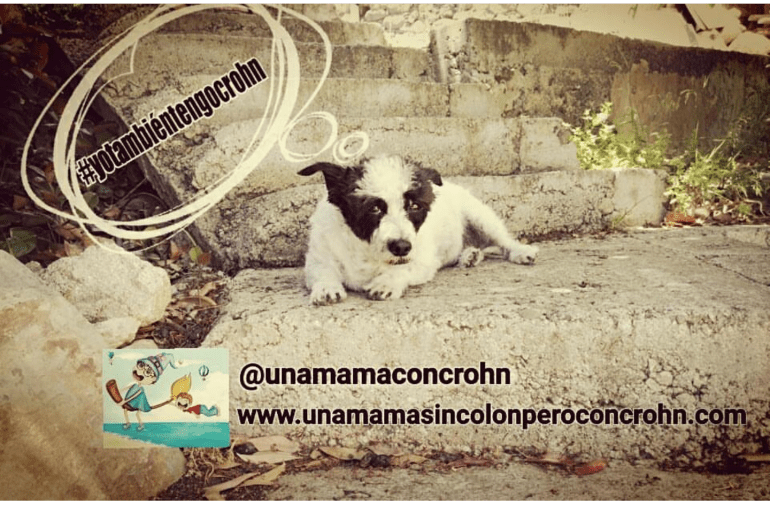 unamamaconcrohn's tweet photo. Cierre Campaña #YoTambiénTengoCrohn #OtrosPost https://t.co/ULtk7yRQz8 https://t.co/mfCy6sFhiW