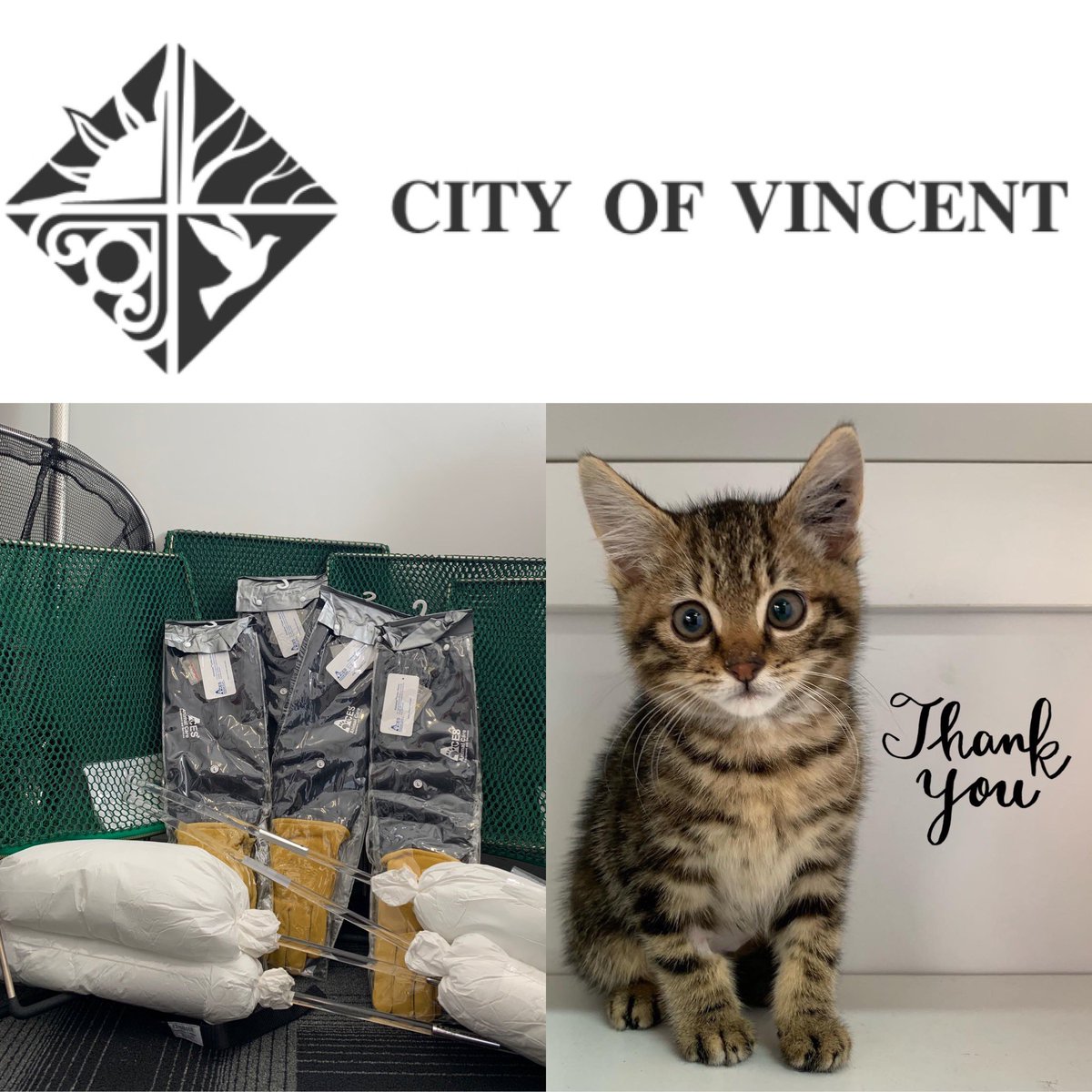 ☺️🧡A huge thank you to the @CityofVincent for kindly donating brand new and much needed PPE (personal protective equipment) to Cat Haven. This equipment is quite expensive and so we are very appreciative of your generosity☺️🧡