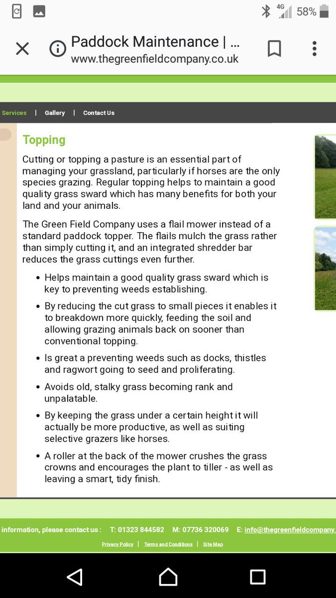 JamieFenderbaum's tweet photo. When you overhear a farmboy in a petrol station say that he "will be doing a lot of topping today", don't get all overexcited like I just did cos it only means hes cutting the grass ok

#Damn
#WrongEndOfTheStick https://t.co/UvYD16GrcL