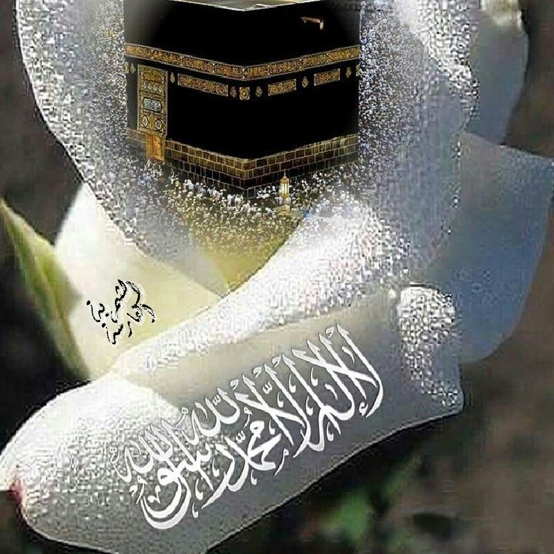 #صورة_ملف_شخصي_جديدة
