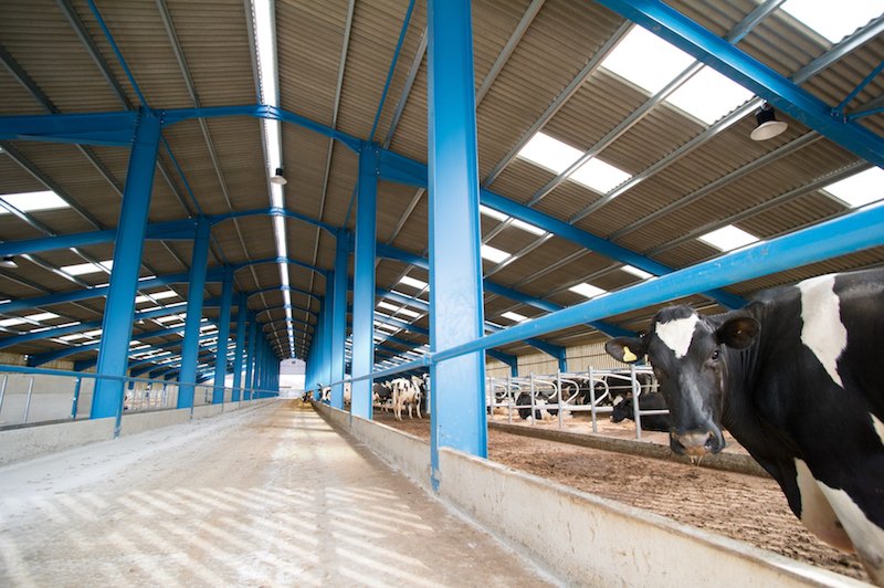 inui_uk's tweet image. LED FARM &amp;amp; AGRICULTURE LIGHTING ow.ly/dM8U50uRMZ8 🐄🚜🌾
.
✅ Robust long-lasting fittings
.
✅ Natural light effect of LED is beneficial to livestock
.
✅ LED grow lights support crop growth
.
#LEDfarm
#EnergyEfficiency
#CleanerSmarterBrighter