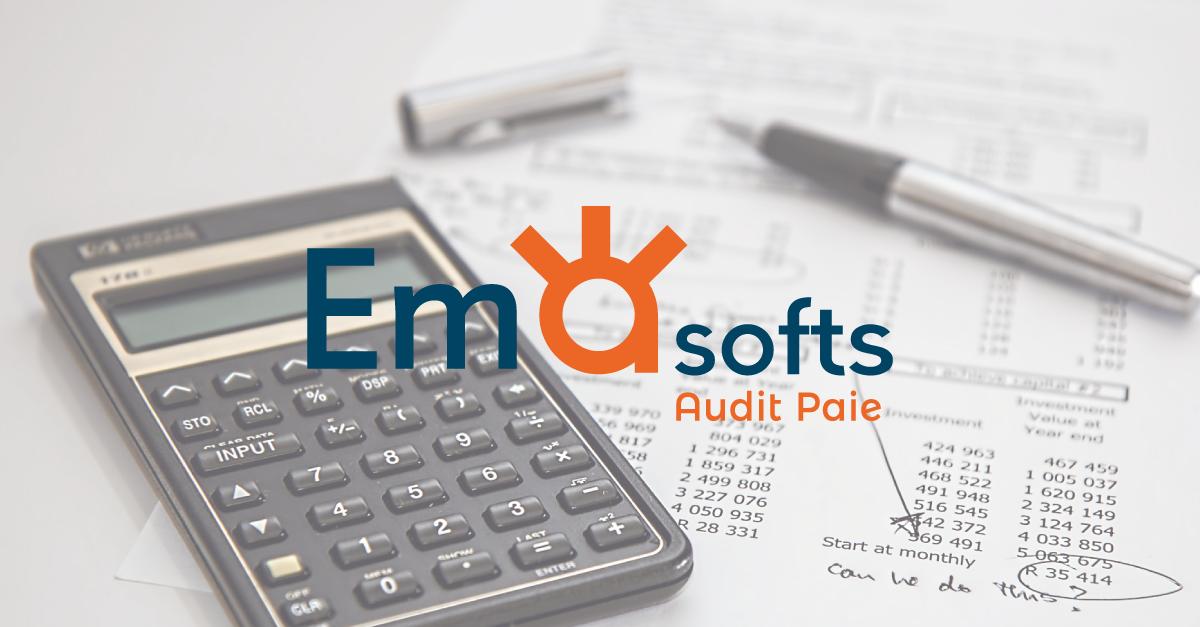 AUDIT_RH's tweet image. Experts-comptables : Un logiciel automatisé d’audit #paie, vous en rêviez ? Nous l’avons fait ! Si vous souhaitez en apprendre plus sur le logiciel ou le tester c’est par ici : bit.ly/2XG6IBk