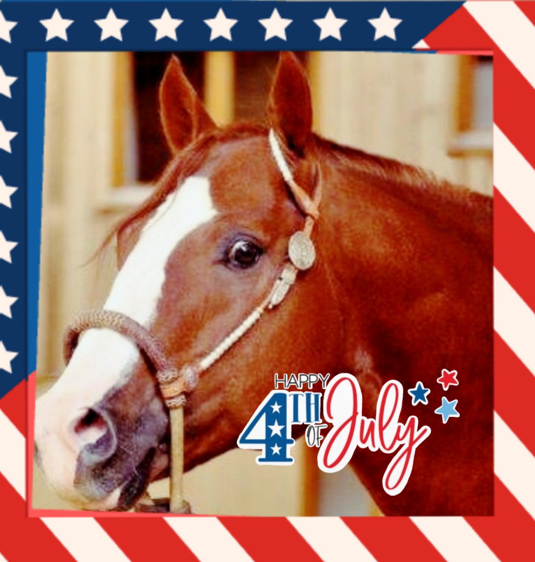 PerformanceVF's tweet image. Happy Independence Day to all my American friends and families!

#IndependenceDay #4thofJuly #StarsandStripes #usa #redwhiteandblue