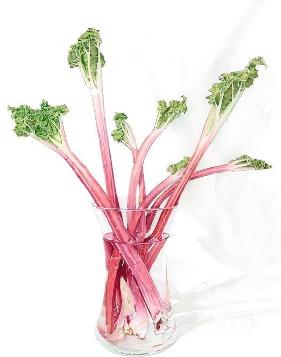 This weekend is <a href="/UrbanArtBrixton/">UrbanArt</a> open air #artfair - I’ll be there on Sat 6 July 10am-6pm with a selection of my blotted line &amp; #Watercolour paintings including #Rhubarbrhubarb 
lucyclaytonart.co.uk/work#/painting/ #brixton #lovelondon #Londonlife #artexhibition