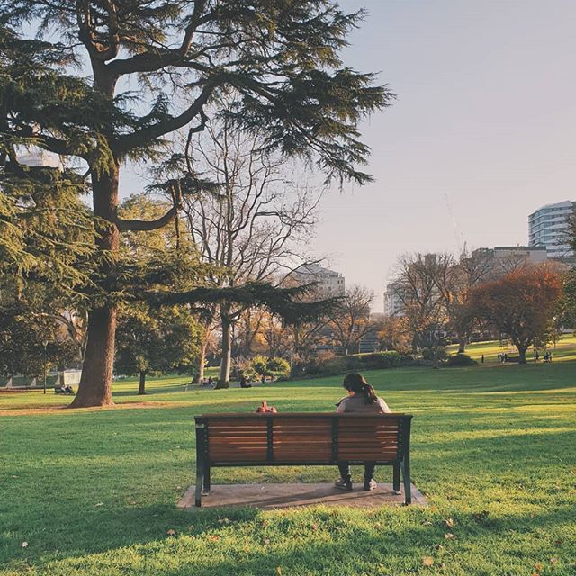 kazesuki's tweet photo. Mother and child. #justchilling #melbourne #park https://t.co/1Ilbndh1ZY https://t.co/jN4cNFDA24