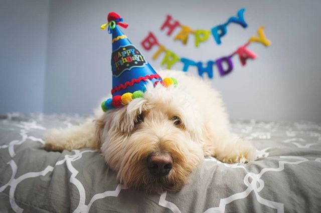 Hipp hipp hurra! 🎉 I dag er det Dronning Sonja sin bursdag og vi bukker og nikker og neier så mye🎈⁠
⁠
På Hygglo kan du leie det meste for en vellykket bursdagsfest, fra hoppeslott til sjokoladefontene og popcornmaskin!⁠
⁠
#delingsøkonomi #burdags… ift.tt/2XmTFAj