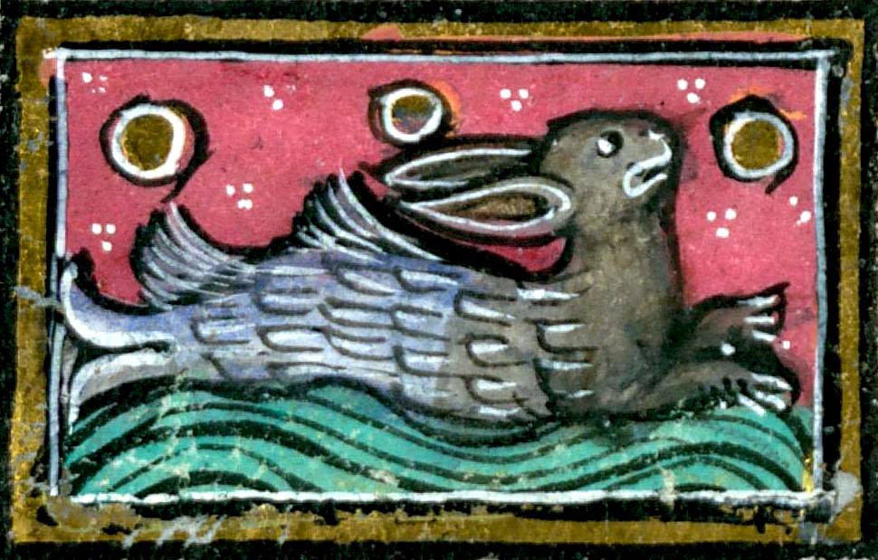 Dr. Erik Wade -- CEASEFIRE NOW tweet media